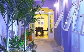 Casa Violeta