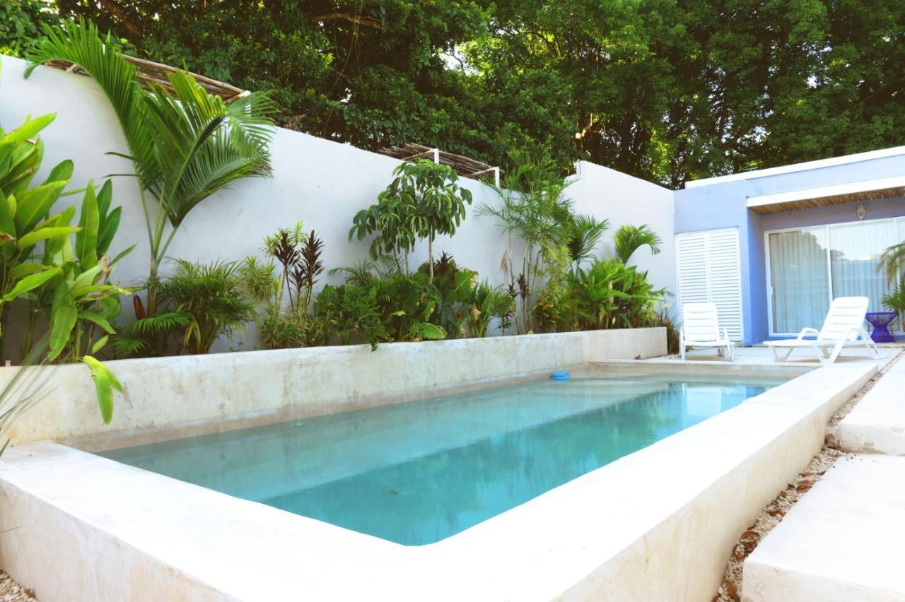 Villa Casa Violeta à Mérida Extérieur photo