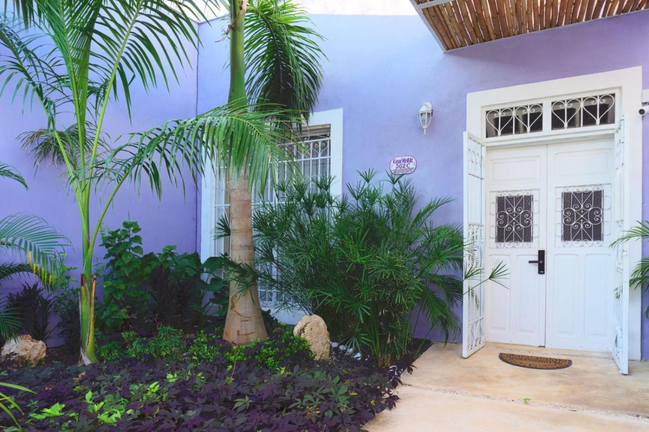 Villa Casa Violeta à Mérida Extérieur photo