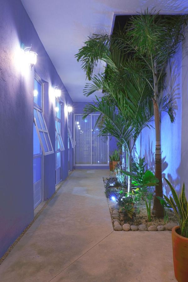Villa Casa Violeta à Mérida Extérieur photo